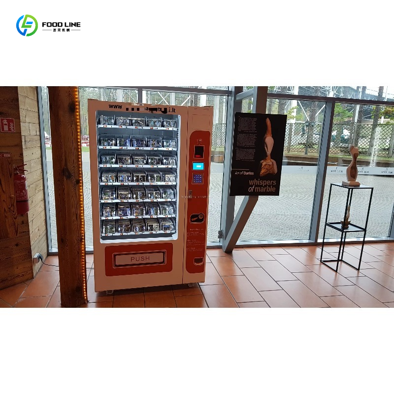 Arcade Toy Vending Machine - FL-Karten-Verkaufsautomat High-Tech Kommerzielles Modell mit Zahlungsterminal
